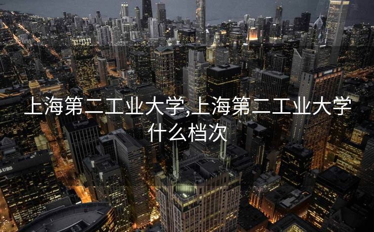 上海第二工业大学,上海第二工业大学什么档次