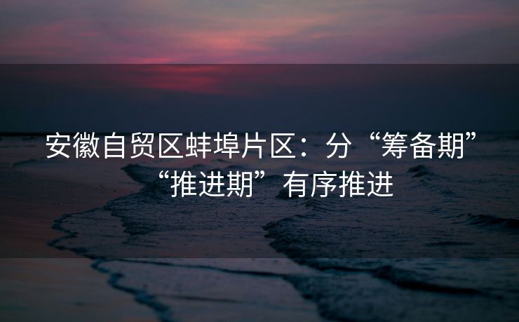 安徽自贸区蚌埠片区：分“筹备期”“推进期”有序推进