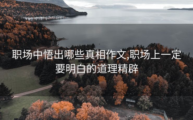 职场中悟出哪些真相作文,职场上一定要明白的道理精辟