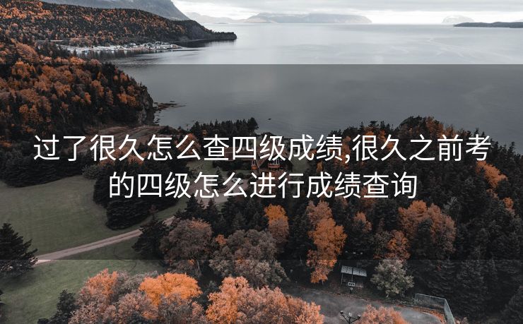 过了很久怎么查四级成绩,很久之前考的四级怎么进行成绩查询