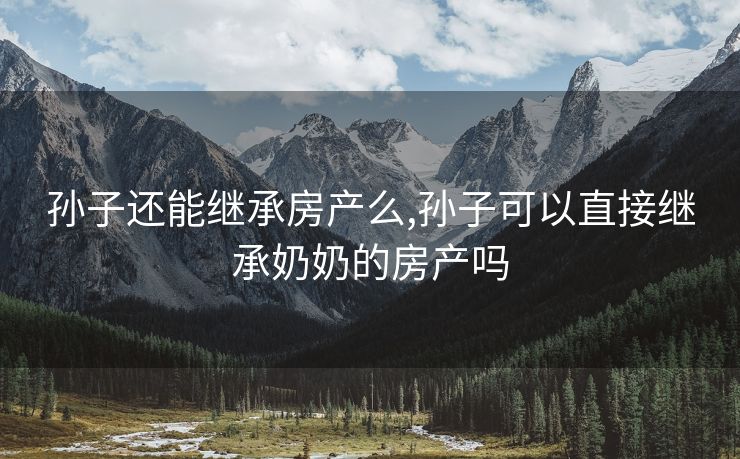 孙子还能继承房产么,孙子可以直接继承奶奶的房产吗