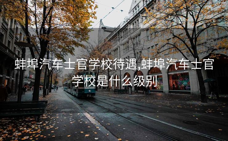 蚌埠汽车士官学校待遇,蚌埠汽车士官学校是什么级别