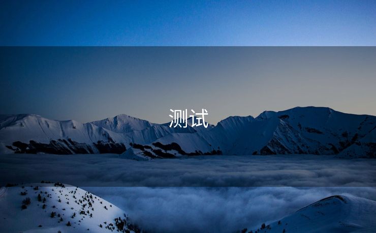 测试