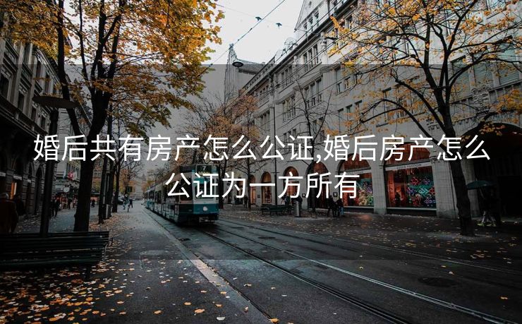 婚后共有房产怎么公证,婚后房产怎么公证为一方所有