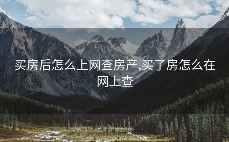 买房后怎么上网查房产,买了房怎么在网上查