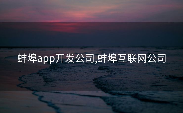 蚌埠app开发公司,蚌埠互联网公司