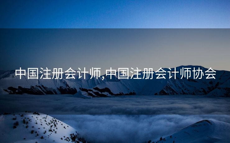 中国注册会计师,中国注册会计师协会