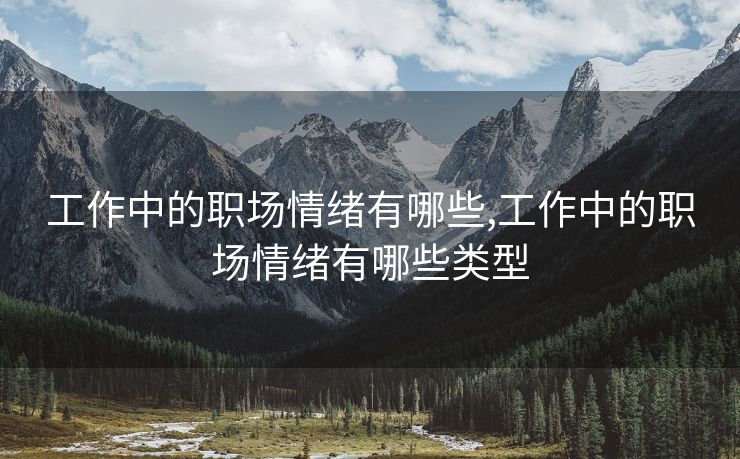 工作中的职场情绪有哪些,工作中的职场情绪有哪些类型