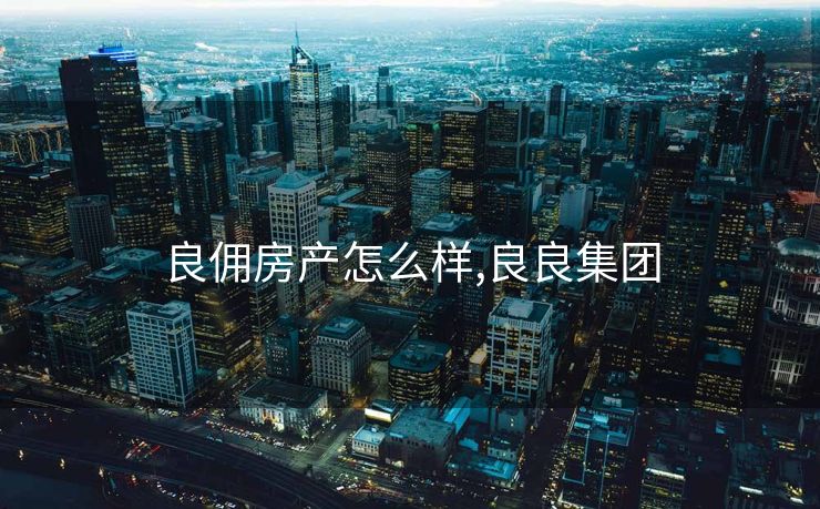 良佣房产怎么样,良良集团