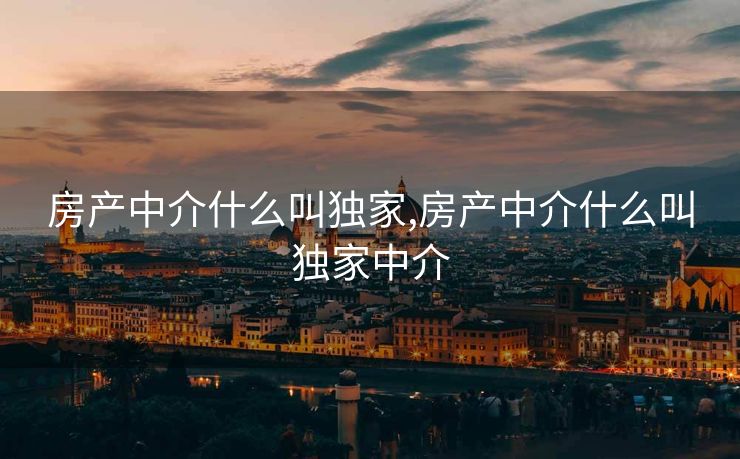 房产中介什么叫独家,房产中介什么叫独家中介