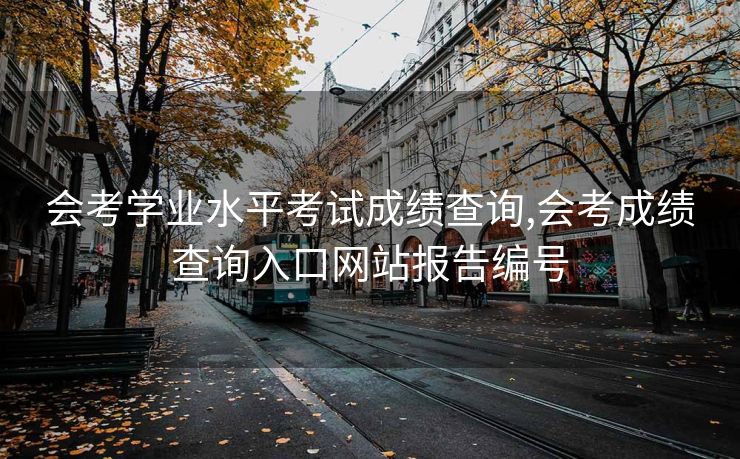 会考学业水平考试成绩查询,会考成绩查询入口网站报告编号