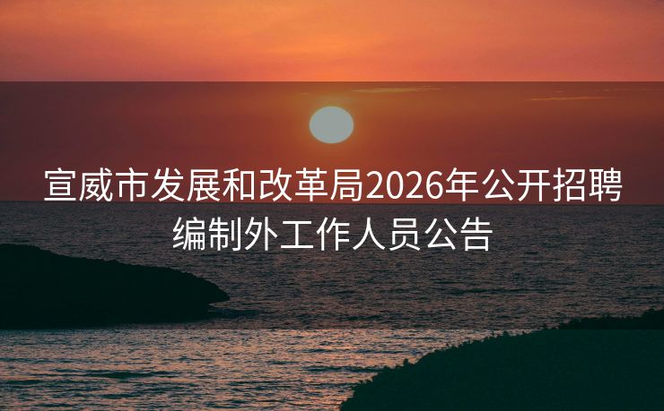 宣威市发展和改革局2026年公开招聘编制外工作人员公告