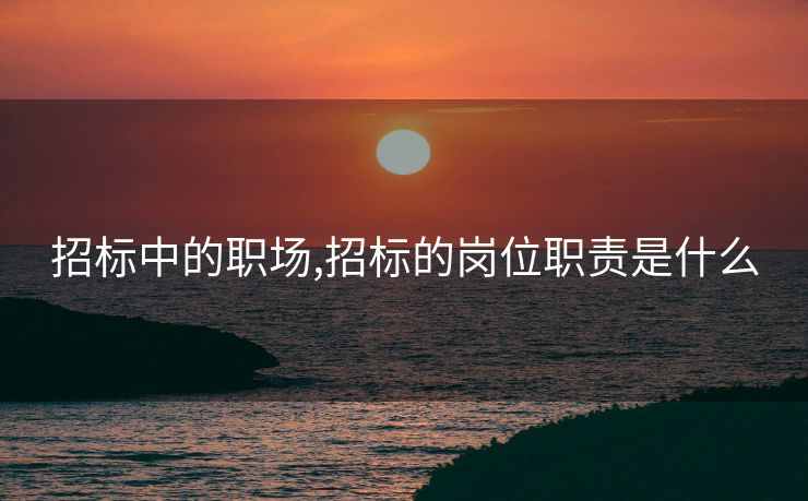 招标中的职场,招标的岗位职责是什么