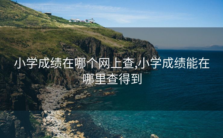 小学成绩在哪个网上查,小学成绩能在哪里查得到