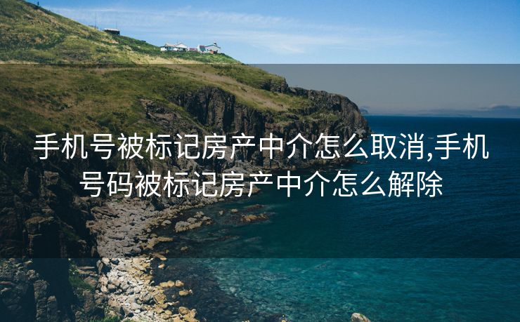 手机号被标记房产中介怎么取消,手机号码被标记房产中介怎么解除