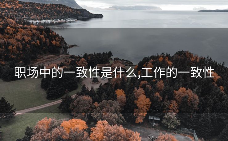 职场中的一致性是什么,工作的一致性