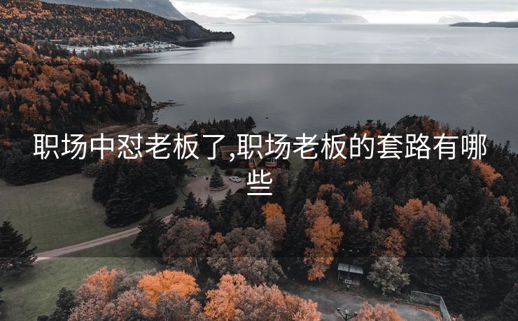 职场中怼老板了,职场老板的套路有哪些